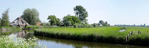 Panorama van een Nederlands landschap in de lente