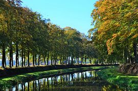 schipbeek