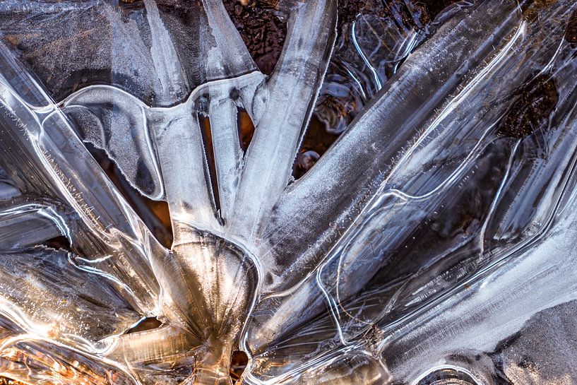 ijskristallen van Peter Smeekens