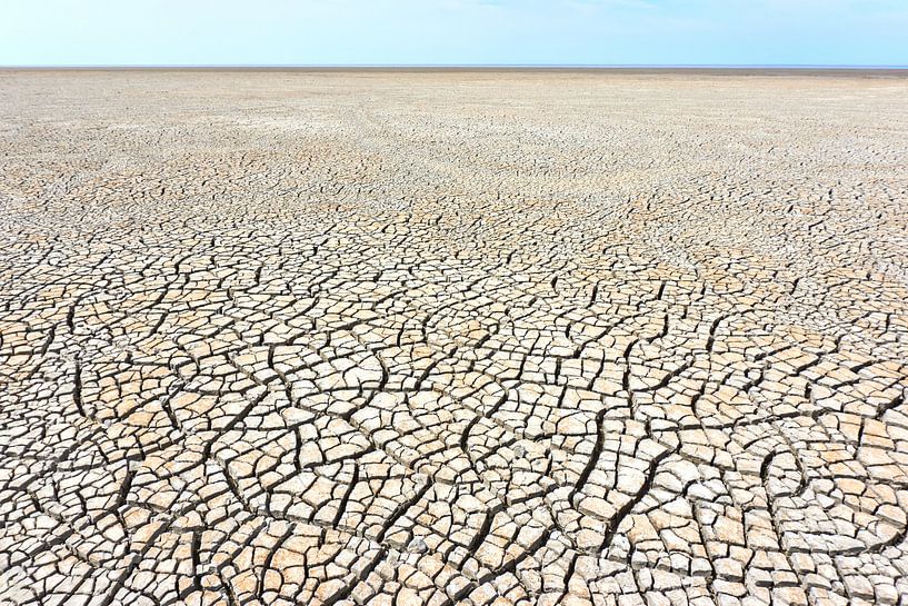 Low tide on the mudflats by Harry Wedzinga