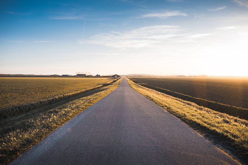 Noord-Beveland landschap 2 van Andy Troy