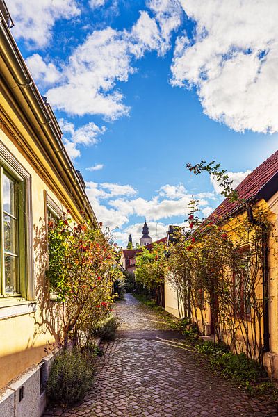 Die Straße Fiskargränd in der Altstadt von Visby auf Gotland von Rico Ködder