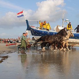Horse rescue boat Ameland by Rinnie Wijnstra (FotoAmeland )