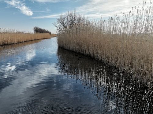 fossé hollandais typique sur StudioFocus