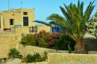 Enkele kasteelgebouwen achter groene palmbomen van Castillo de Santa Bárbara in Alicante onder een b
