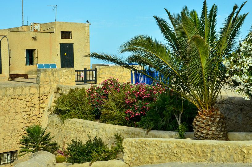 Quelques bâtiments du château derrière les palmiers verts du Castillo de Santa Bárbara à Alicante so par LuCreator