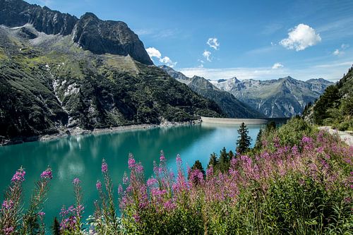Mountain lake and flowers