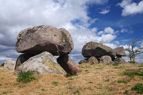 Langdolmen Stenbjerggård Ørbæk Ellested