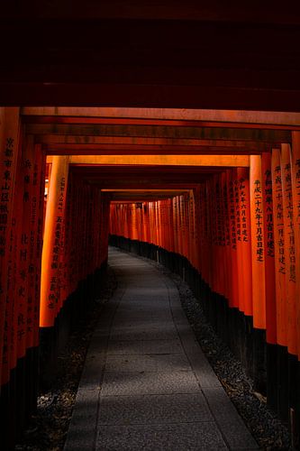 Row of Torri Gates - Fushimi Inari - Japan