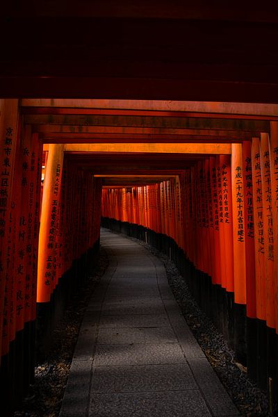 Row of Torri Gates - Japan von Manon Sloetjes