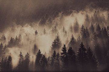 Misty Mountain van LUC THIJS PHOTOGRAPHY