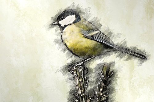 Great Tit (drawing) by Art by Jeronimo