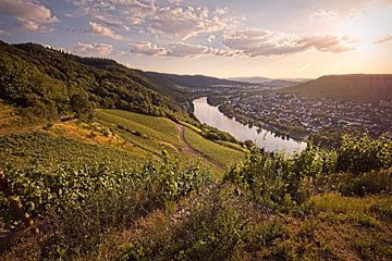 Moselle Valley in Bernkastel-Kues by Rob Boon