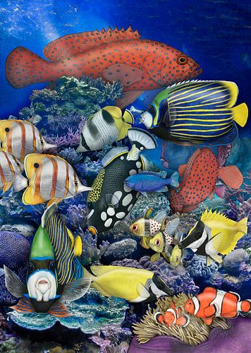 Le monde coloré des poissons du récif corallien