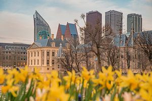 Mauritshuis skyline Den haag bij schemering met skyline van Erik van 't Hof