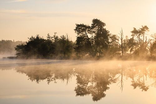 Zonsopkomst bij de Leersumse Plassen - Utrechtse Heuvelrug