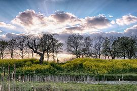 Coucher de soleil sur ir dimensions