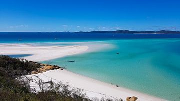 Whitsunday
