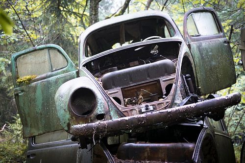 Volkswagen Kever, Beetle