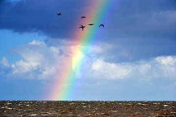 Regenboog boven de Waddenzee van Sidney Portier