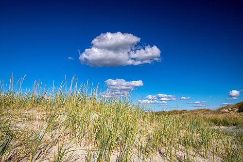 Clouds over dune grass