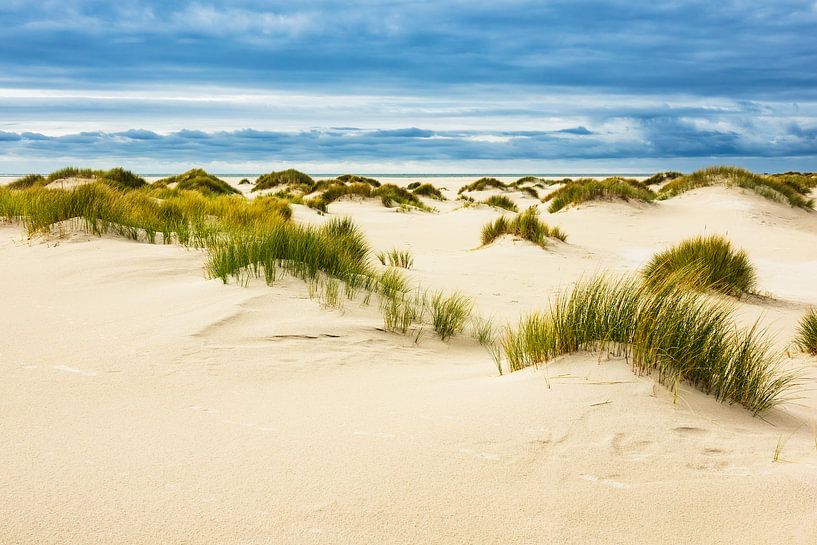Landschaft mit Dünen auf der Insel Amrum par Rico Ködder