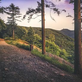 Lysá hora [II] von rosstek ®