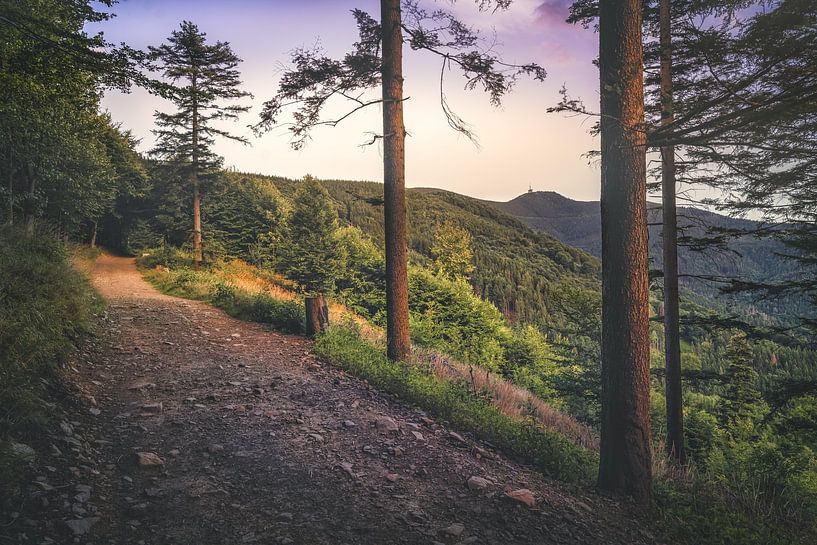 Lysá hora [II] von rosstek ®