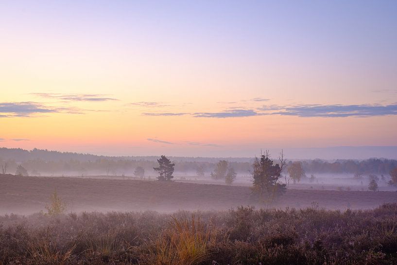 Brouillard matinal à Zonhoven par Johan Vanbockryck