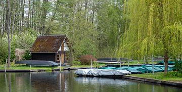 Boot op de Spree in het Spreewald van Animaflora PicsStock