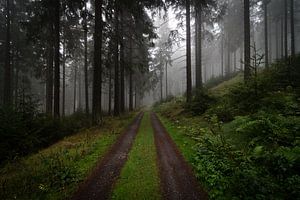 Der Kleine Feldberg