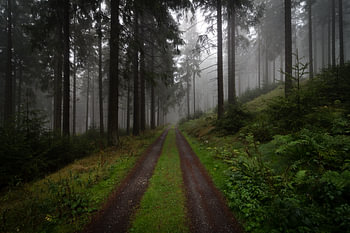 Der Kleine Feldberg
