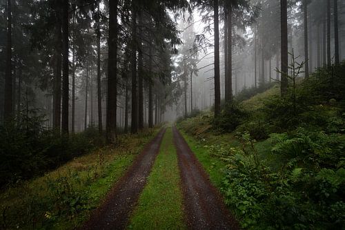 Der Kleine Feldberg von Freedom Streaming Photography