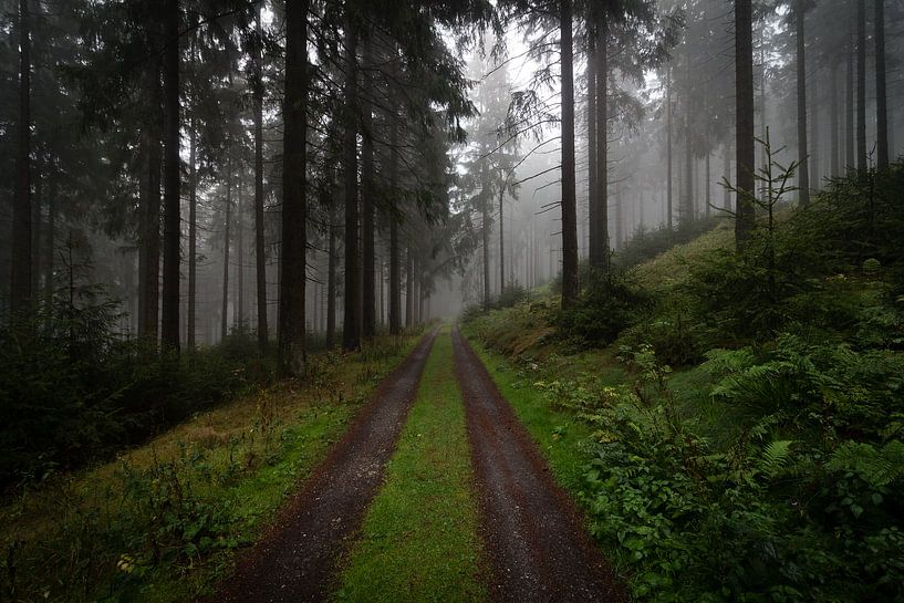 Der Kleine Feldberg von Freedom Streaming Photography