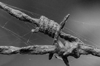 tot het einde verbonden