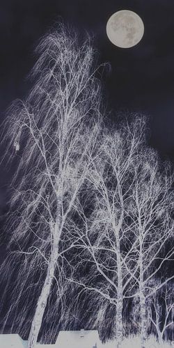 Winter Moon by Christine Nöhmeier