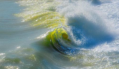 1139 The eye of the wave