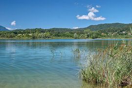 het Turnersee bij St. Kanzian in Karinthië, Oostenrijk