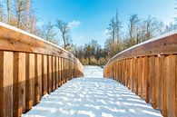 Sneeuw op houten  brug in bos van Ben Schonewille thumbnail