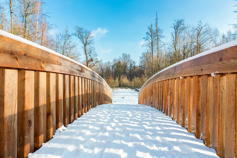 Sneeuw op houten  brug in bos van Ben Schonewille