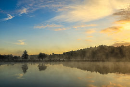 Uferlandschaft Schwackenreuter Seen kurz vor Sonnenaufgang mit leichtem Nebel von BlattArt - Christine Horn