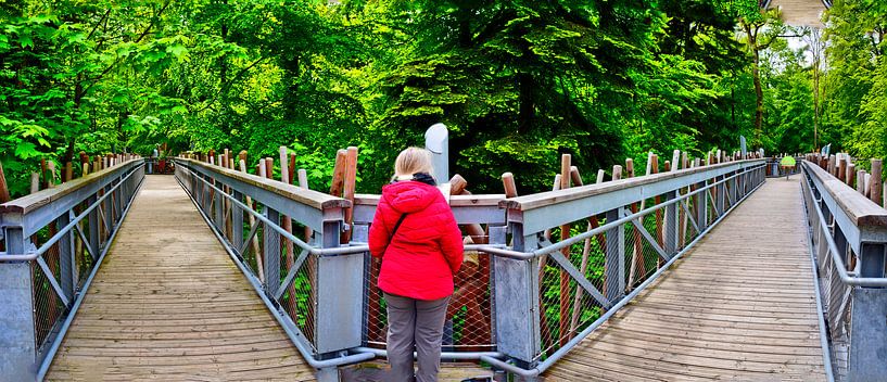 Baumwipfelpfadpanorama van Edgar Schermaul