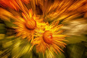 Zonnebloemen met een vleugje Vincent van Gogh van ingrid schot