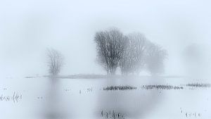 Mist op de Elbe