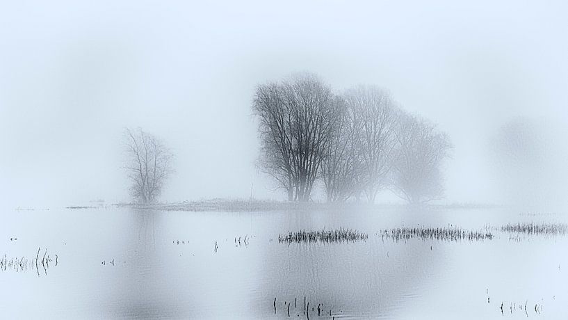 Fog on the Elbe by Kirsten Warner