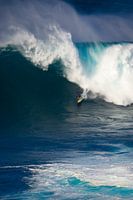 Surfs up!