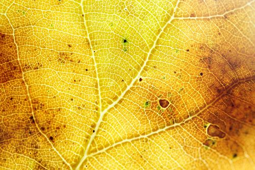 The beauty of autumn 