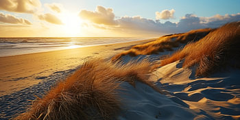 Coucher de soleil sur la plage