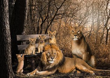 Lion and lioness with 4 cubs