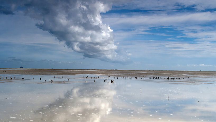 La mer des Wadden par Rinke van Brenkelen